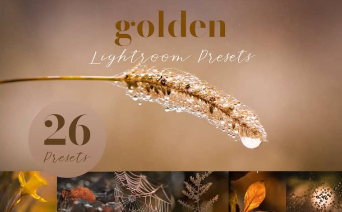 26个秋季微距风光金色调Lightroom预设Golden Lightroom Presets-吾爱精品资源网
